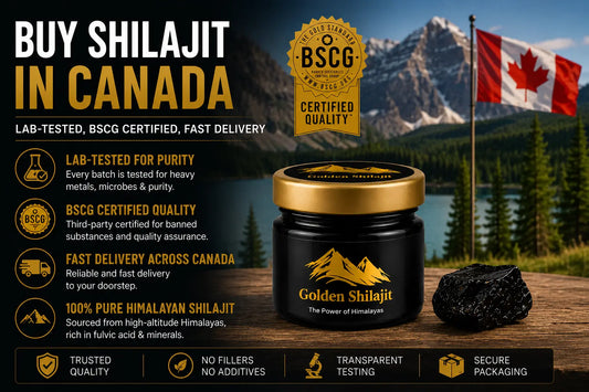 Buy Shilajit in Canada: Lab-Tested Shilajit & Delivery Guide