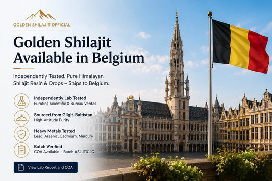 Buying Shilajit in Belgium — Golden Shilajit Official, Eurofins Tested, COA Available