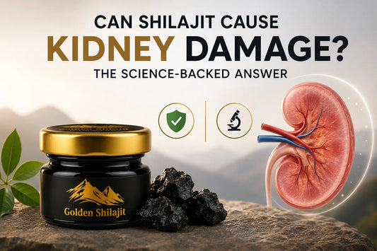 Can Shilajit Cause Kidney Damage? The Science-Backed Answer