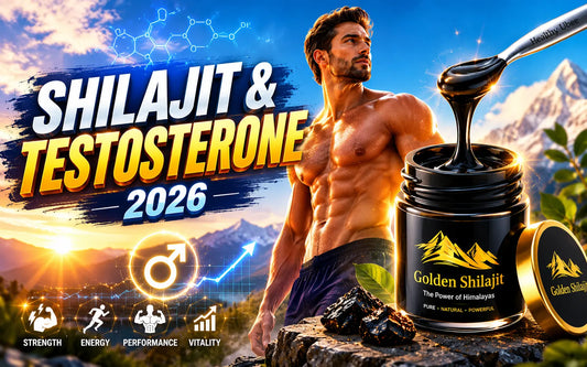 Does Shilajit increase testosterone clinical evidence Andrologia 2016 study results fulvic acid Leydig cells mechanism