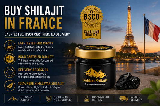 Buy Shilajit in France: Lab-Tested Shilajit & EU Delivery Guide