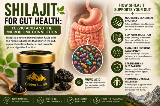 Shilajit for Gut Health: Fulvic Acid and the Microbiome Connection