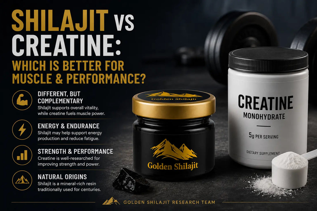 Shilajit vs Creatine: Which Is Better for Muscle & Performance?