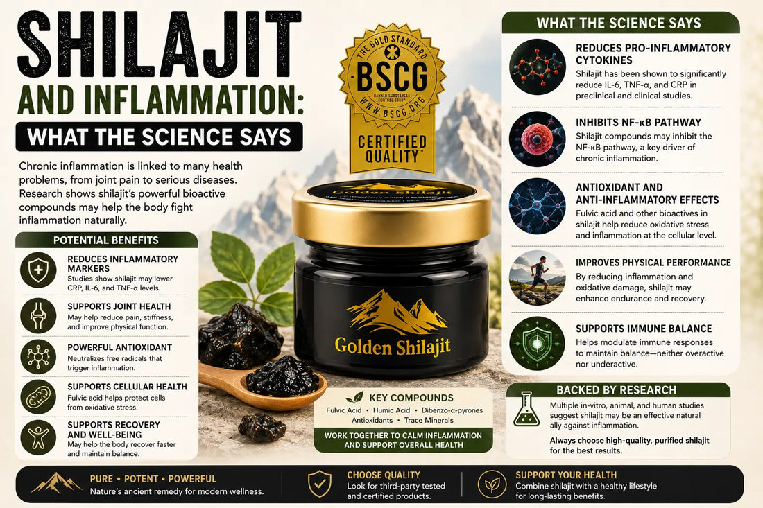 Shilajit and Inflammation: What the Science Says