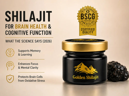 Shilajit for Brain Health & Cognitive Function: What the Science Says (2026)
