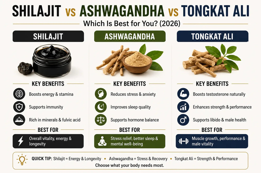 Shilajit vs Ashwagandha vs Tongkat Ali: Which Is Best for You? (2026)
