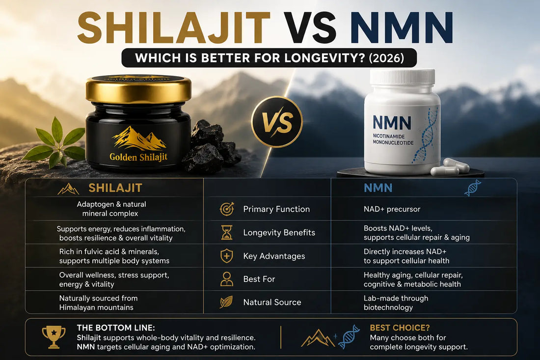 Shilajit vs NMN: Which Is Better for Longevity? (2026)