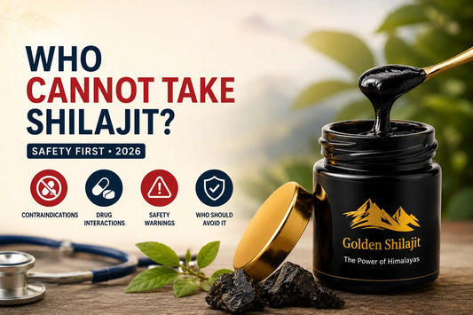Who cannot take Shilajit contraindications safety warnings drug interactions kidneys liver pregnancy guide 2026