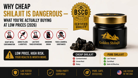 Why Cheap Shilajit Is Dangerous — What You’re Actually Buying at Low Prices (2026)