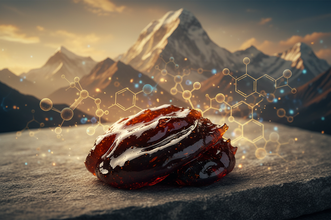 Fulvic Acid in Shilajit: Complete Guide to Benefits & Science