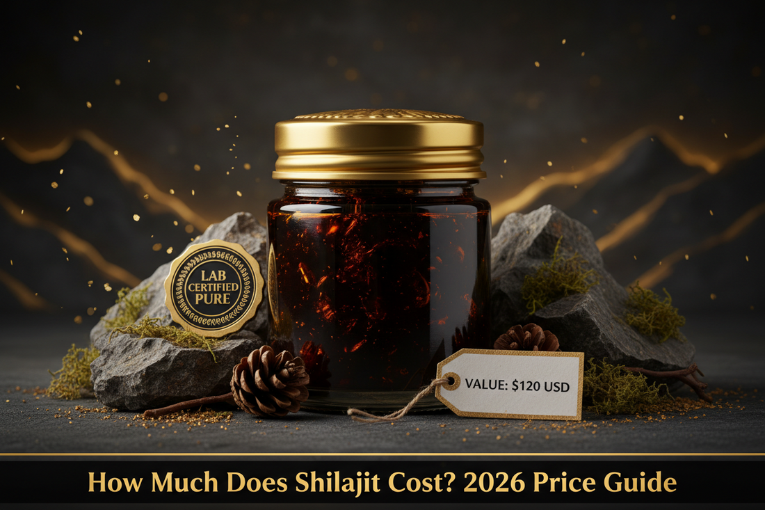 How Much Does Shilajit Cost? Price Guide & Value Breakdown (2026)