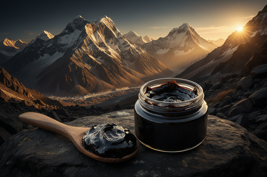 Authentic Himalayan Shilajit resin jar from Golden Shilajit Official with Eurofins COA