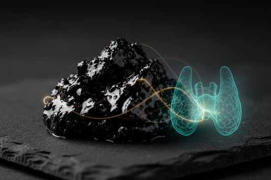 Shilajit for Thyroid Health — What the Research Says