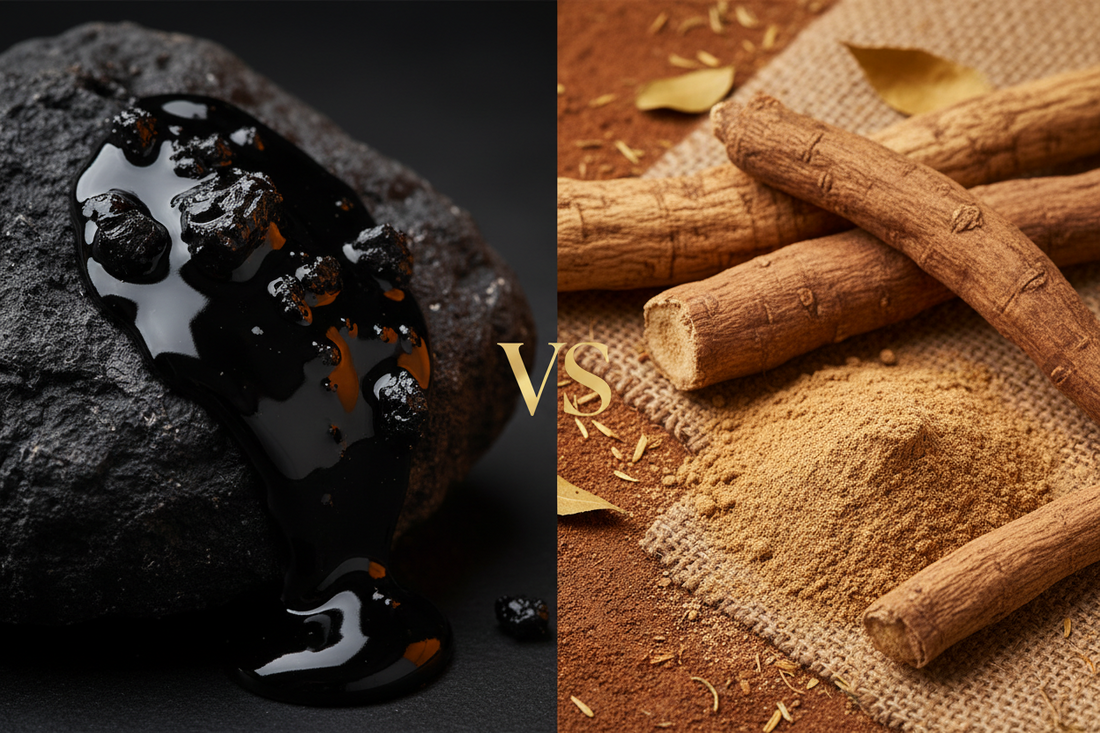 Shilajit vs Ashwagandha — Which is Better for Energy & Stress?