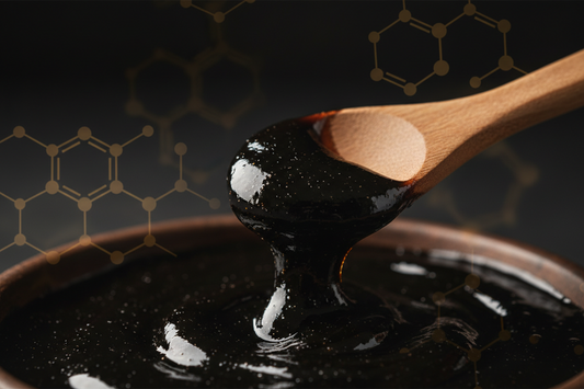 Where to Buy Authentic Shilajit Online (2026) — Lab-Tested & BSCG Certified