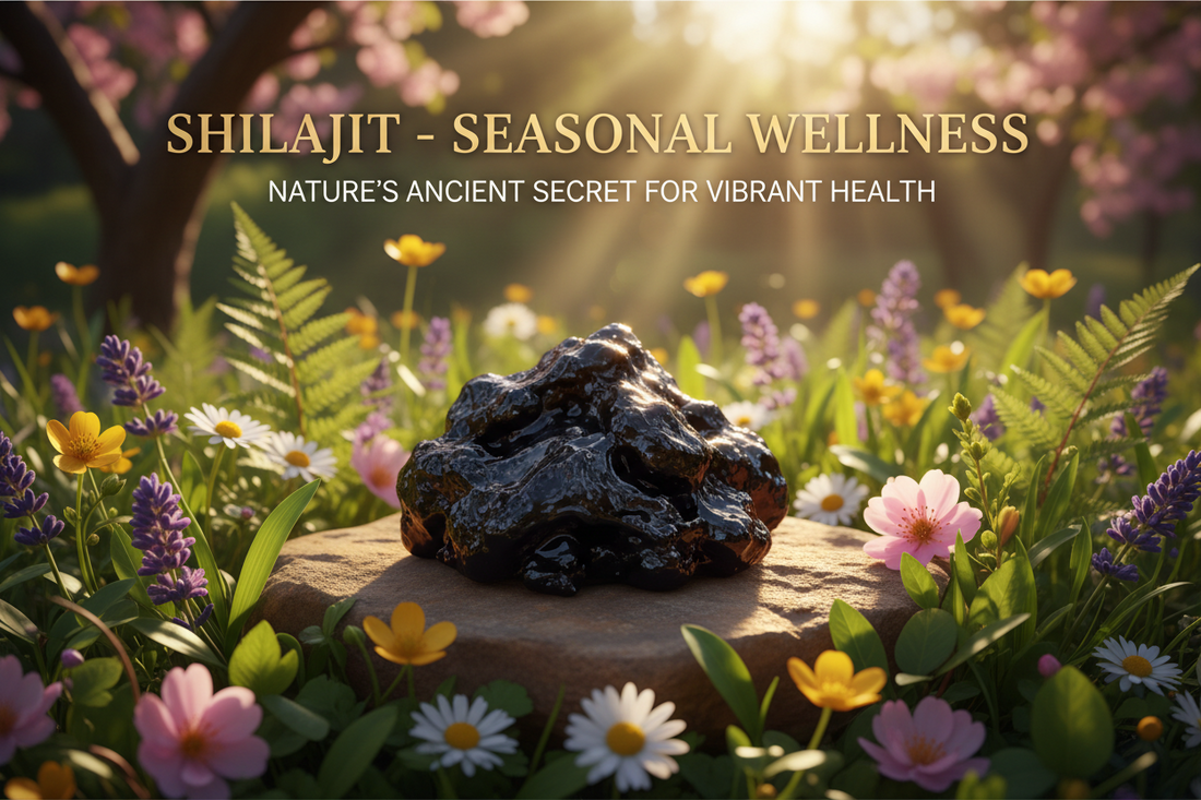 Shilajit in Spring & Summer: Your 2026 Seasonal Wellness Guide