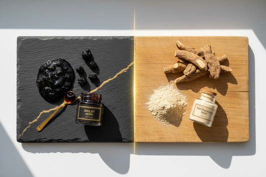 Shilajit vs Ashwagandha: Which Should You Take? (2026 Comparison)
